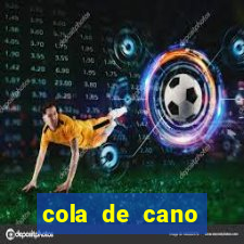 cola de cano quanto tempo para secar